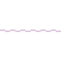 Rider Unik